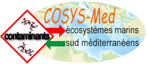 COSYS-Med
